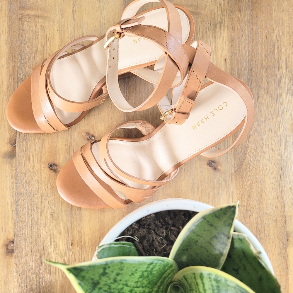 Cole Haan Marieta Wedge Sandals